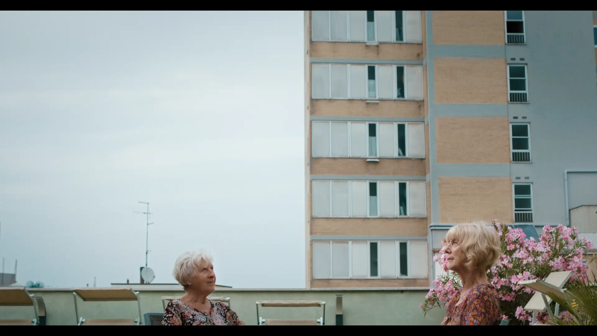 LES DANSEURS DE L'AUBE